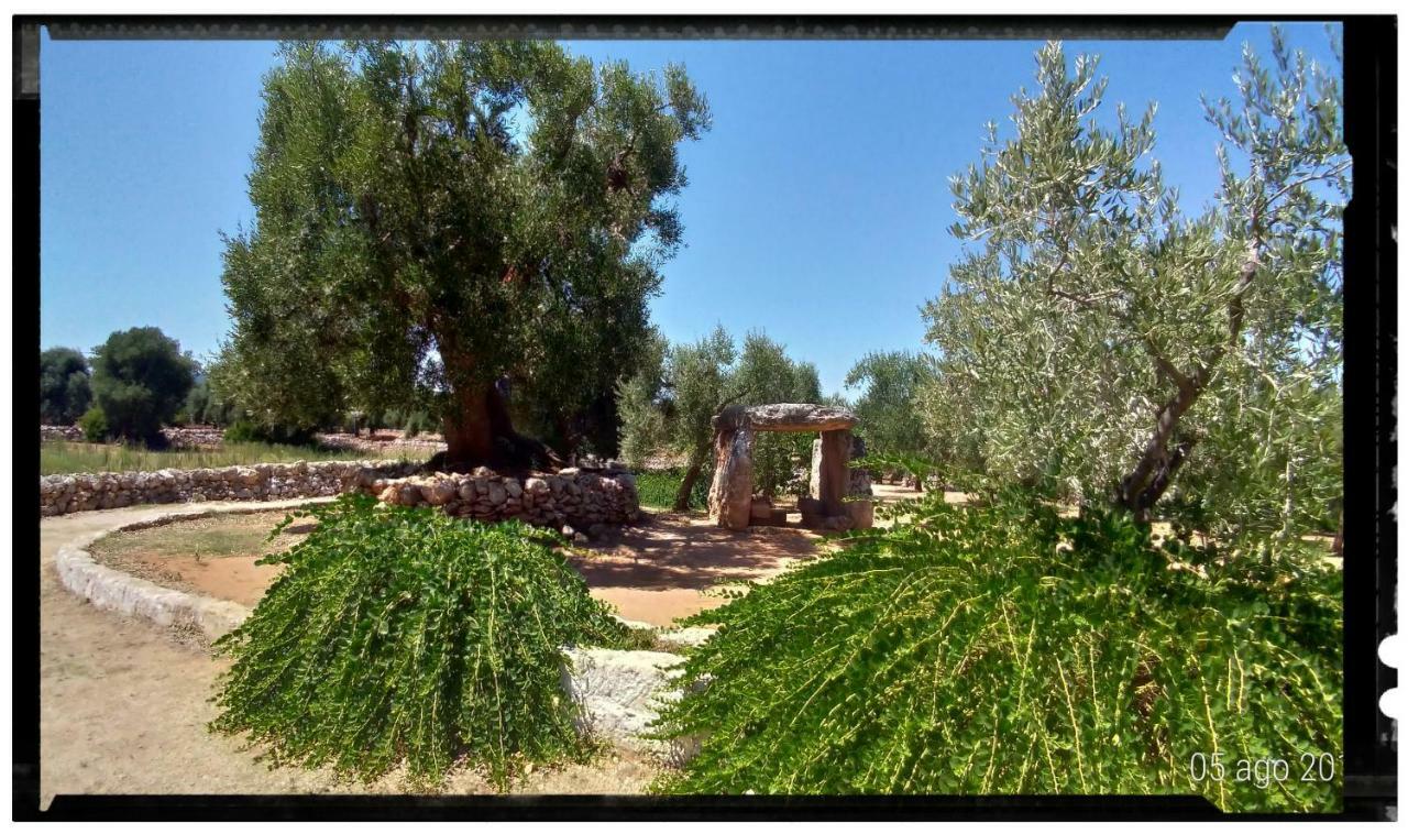 Dimora Torre Bianca Villa ออสตูนี ภายนอก รูปภาพ
